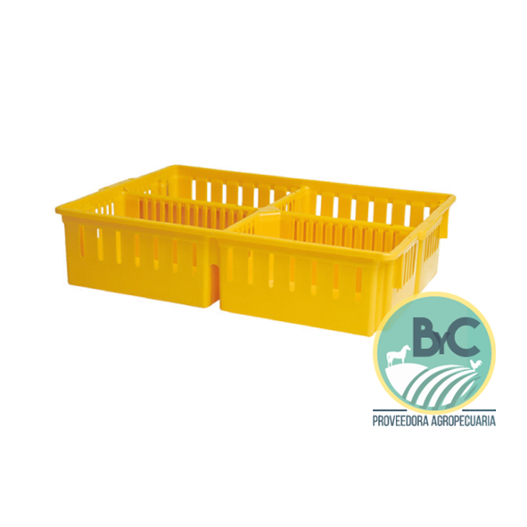 4. Caja para Transporte de Pollito